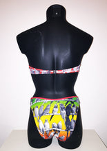 Load image into Gallery viewer, Parrot Bandeau Ombre