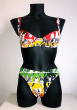 Load image into Gallery viewer, Parrot Bikini Ombre