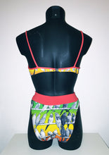 Load image into Gallery viewer, Parrot Ombre Higwaisted